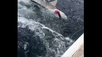 Lesbian fishing porn videos