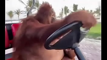 Elisa sanches loupan no carro