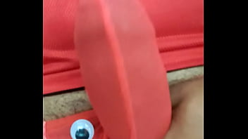 Elefanten beim sexvideo