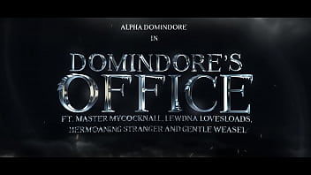 Harry potter torrent