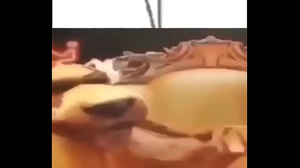 Gỡ sus