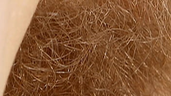 Lac texture compressor